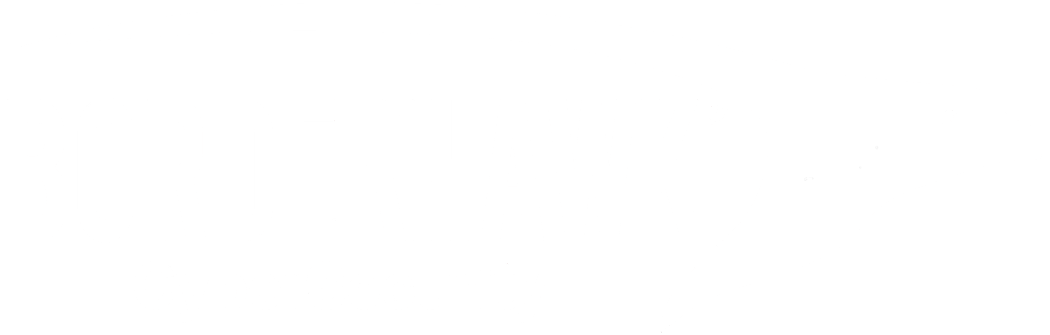 BorderHawk Logo in White.-2