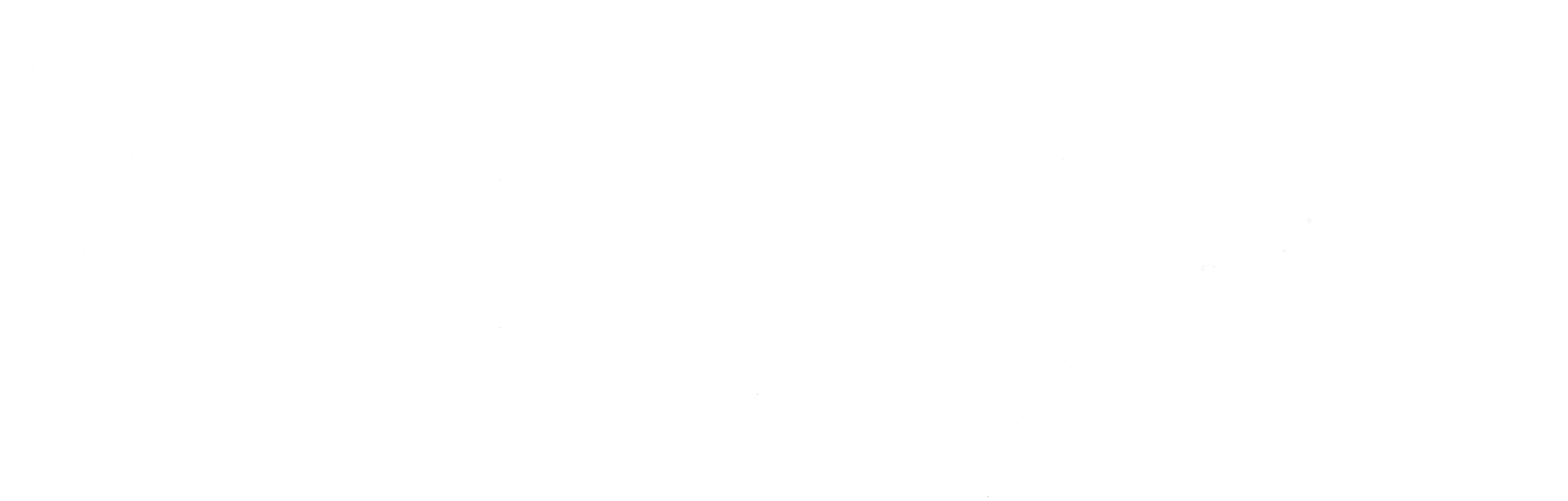 BorderHawk Logo in White.-2