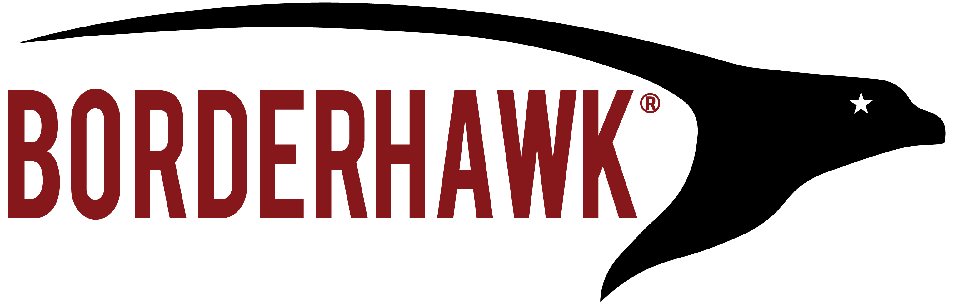 BorderHawk LLC Logo Transparent Background