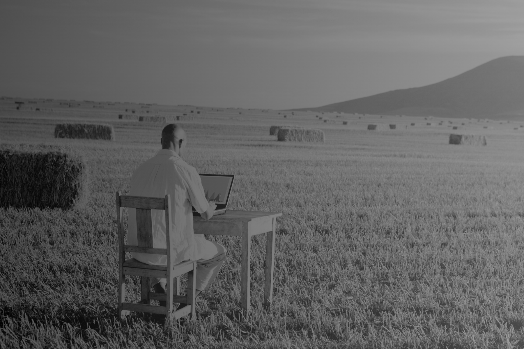 Field Picture in ink with transparency