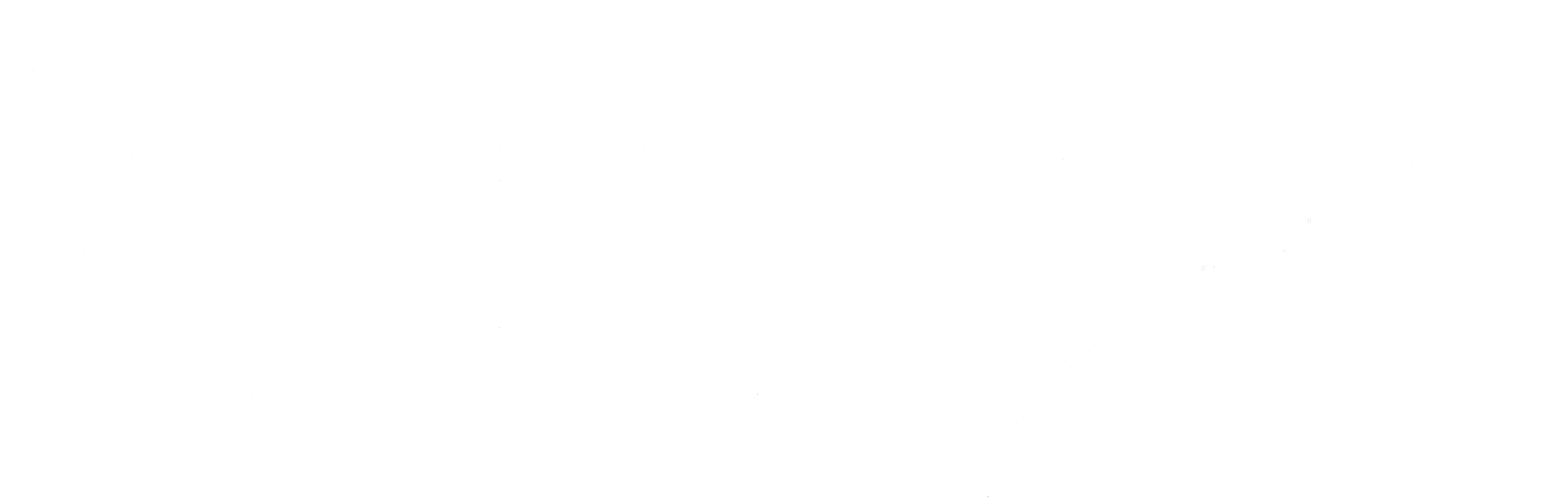 BorderHawk Logo in White.
